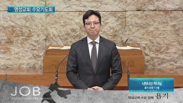 김하나 목사 명성교회 수요기도회 2/2 APGAMSW099 H264