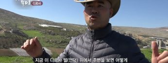 디르사 APGALK0084