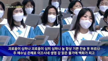 새에덴강단 APGYSE0432