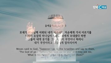 허연행 목사 출애굽기를 알면 인생이 보인다