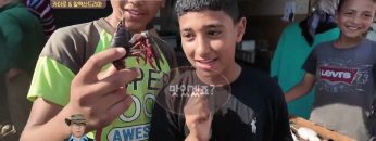 카이로 & 알렉산드리아아