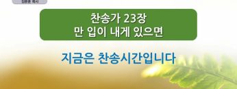 아름다운 포도원의 노래