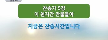 열매 맺는 가지