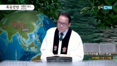 어린 나귀를 타신 주님