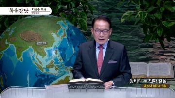 왕비의 두 번째 결심
