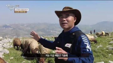 성지가 좋다  므낫세 지파의 땅 1