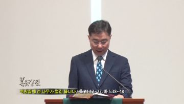 조원태 목사-벼랑끝에 선 나무가 멀리 봅니다