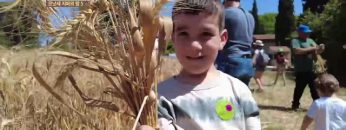 성지가 좋다 므낫세 지파의 땅 5