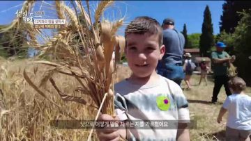 성지가 좋다 므낫세 지파의 땅 5