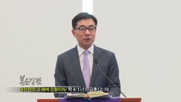 (단비TV) 조원태 목사- 피난처 교회