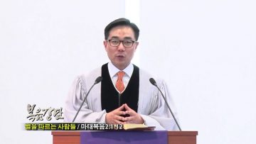 (단비TV) 조원태 목사- 별을 따르는 사람들