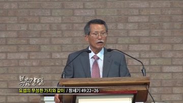 (단비TV) 문석호 목사- 요셉의 무성한 가지와 같이