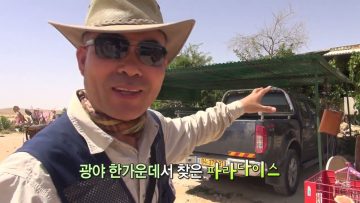 광야의 개척자들 고대도시 쉬브타 APGALK0039 H264