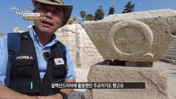알렉산드리아 2 APGALK0326