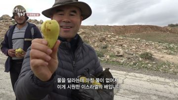 엔 파짜엘 샘 APGALK0089