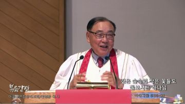 안명훈 목사 깊은 숲속의 작은 꽃들도 돌보시는 하나님
