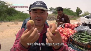 2편 구리 뱀의 현장, 부논을가다 APGALK0101
