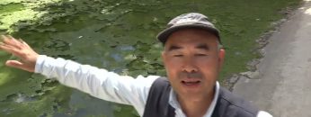 계단식 전원마을 바티르 APGALK0119
