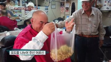 터키, 소아시아 7대 교회 2. APGALK0218