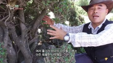 드로아 앗소길 APGALK0204
