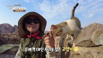 시내산을 가다 2부 APGALK0301