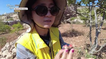 에브라임 땅의 중심지 APGALK0305