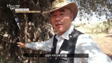 12지파의 땅을 찾아서 APGALK0270