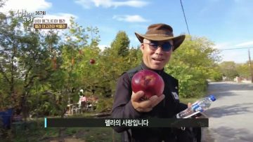 비아 에그나티아 펠라 367