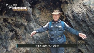 비아 에그나티아 에데사 368
