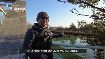 아피아 가도를 따라 APGALK0344