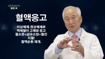 건강하게 삽시다 맑은 피 Health42