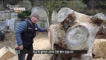 비아 에그나티아  380