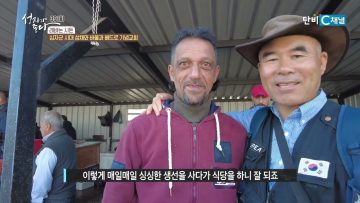레바논 시돈  391