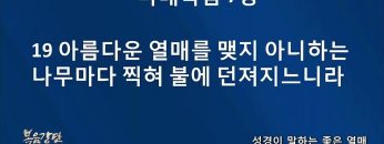 김승희 원로목사 성경이 말하는 좋은 열매