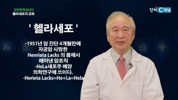 건강하게 삽시다 헬라세포의 공로 Health76