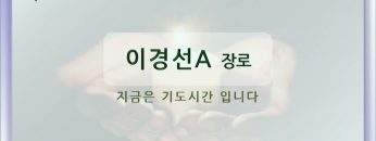 [포도원] 돌이켜 아버지께로