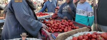 이집트 고센 – 430년의 기억을 품은 비옥한 땅