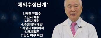 불임의 치료