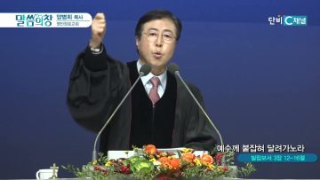 나의 잃은 양을 찾아내었노라