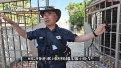 이스라엘 (요르단에서 여리고까지)