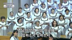 가시가 주는 은혜
