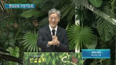대적에 대하여