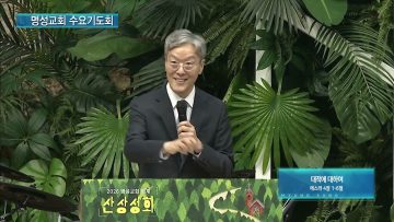 대적에 대하여